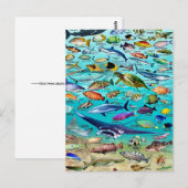 Vis & Meer Vis Ansichtkaart Briefkaart (Voorkant / Achterkant)