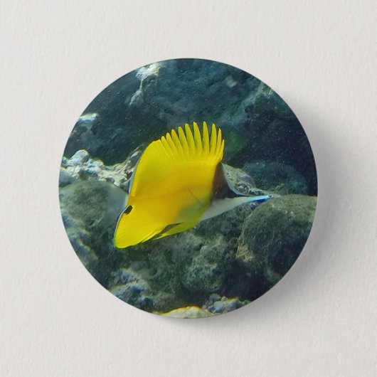 Vis met lange neus ronde button 5,7 cm (Voorkant)