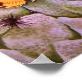 Vis met langneusvlinder poster (Hoek)