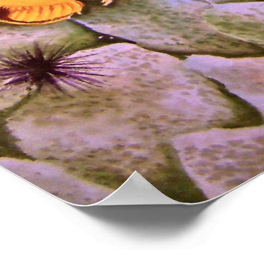 Vis met langneusvlinder poster (Hoek)