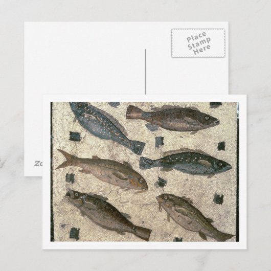 Vis (mozaïek) briefkaart (Voorkant / Achterkant)