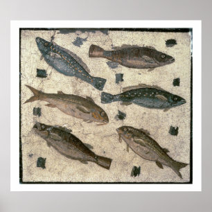 Vis (mozaïek) poster