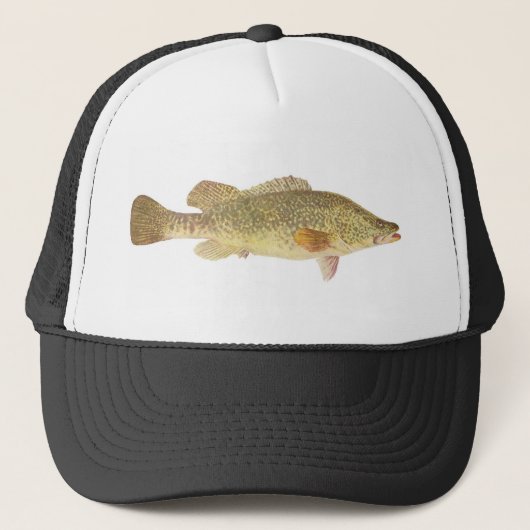 vis - Murray Cod - Maccullochella macquariensis Trucker Pet (Voorkant)
