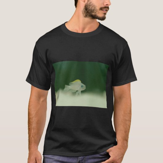 Vis (Neolamprologus caudopunctatus) T-shirt (Voorkant)