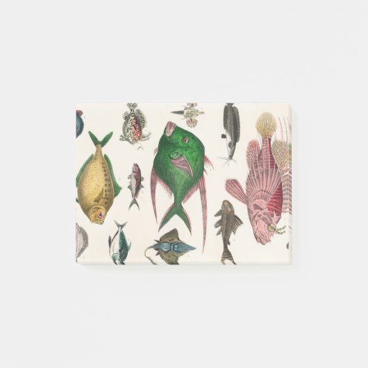 vis, oceaan, schattig, zee, water, dier, vissen post-it® notes (Voorkant)