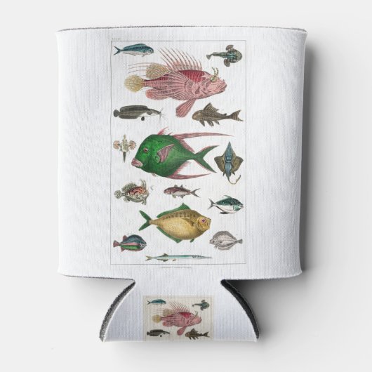 vis, oceaan, schattig, zee, water, dieren, visseri blikjeskoeler (Voorkant)