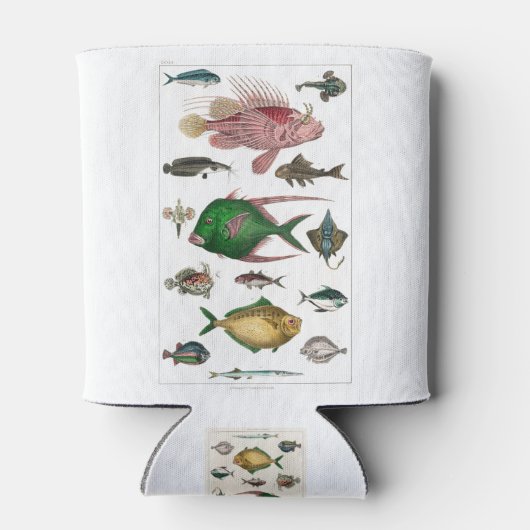 vis, oceaan, schattig, zee, water, dieren, visseri blikjeskoeler (Achterkant)