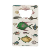 vis, oceaan, schattig, zee, water, dieren, visseri creditkaart flessenopener (Voorkant)