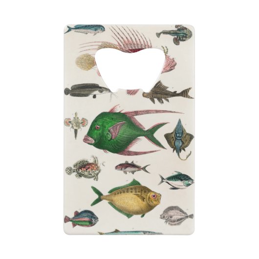 vis, oceaan, schattig, zee, water, dieren, visseri creditkaart flessenopener (Voorkant)