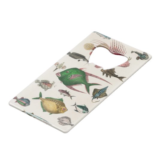 vis, oceaan, schattig, zee, water, dieren, visseri creditkaart flessenopener (Voorkant Gekanteld)