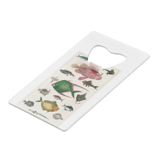 vis, oceaan, schattig, zee, water, dieren, visseri creditkaart flessenopener (Achterkant Gekanteld)