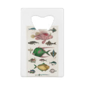 vis, oceaan, schattig, zee, water, dieren, visseri creditkaart flessenopener (Achterkant)