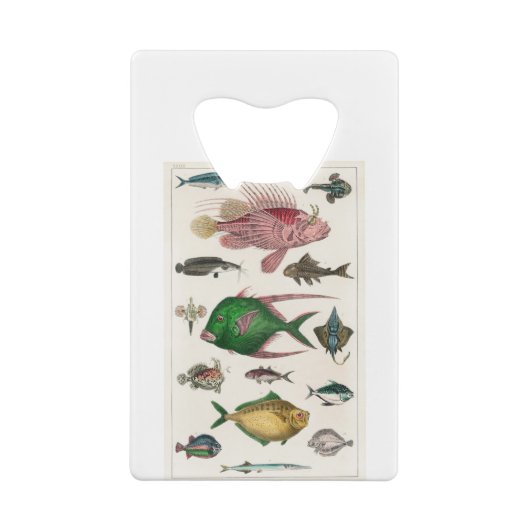 vis, oceaan, schattig, zee, water, dieren, visseri creditkaart flessenopener (Achterkant)