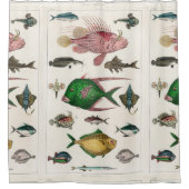 vis, oceaan, schattig, zee, water, dieren, visseri douchegordijn (Voorkant)