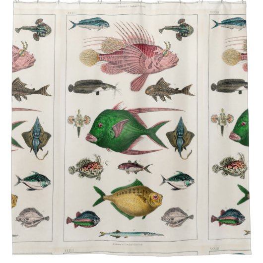 vis, oceaan, schattig, zee, water, dieren, visseri douchegordijn (Voorkant)