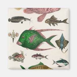 vis, oceaan, schattig, zee, water, dieren, visseri magneet