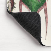 vis, oceaan, schattig, zee, water, dieren, visseri muismat (Hoek)