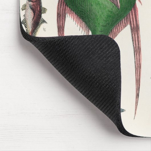 vis, oceaan, schattig, zee, water, dieren, visseri muismat (Hoek)