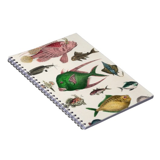 vis, oceaan, schattig, zee, water, dieren, visseri notitieboek (Rechterzijde)