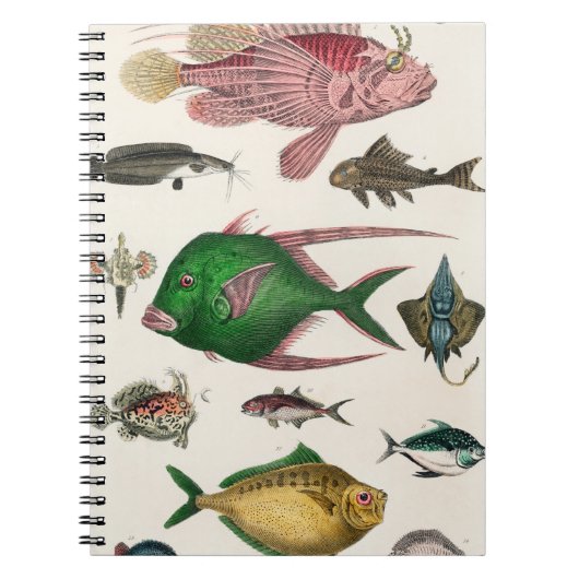 vis, oceaan, schattig, zee, water, dieren, visseri notitieboek (Voorkant)