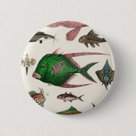 vis, oceaan, schattig, zee, water, dieren, visseri ronde button 5,7 cm (Voorkant)