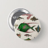 vis, oceaan, schattig, zee, water, dieren, visseri ronde button 5,7 cm (Voorkant /achterkant)