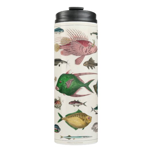 vis, oceaan, schattig, zee, water, dieren, visseri thermosbeker (Voorkant)