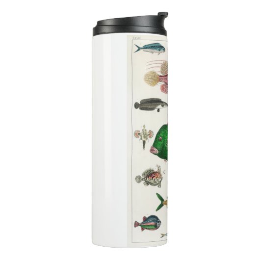 vis, oceaan, schattig, zee, water, dieren, visseri thermosbeker (Gedraaid links)