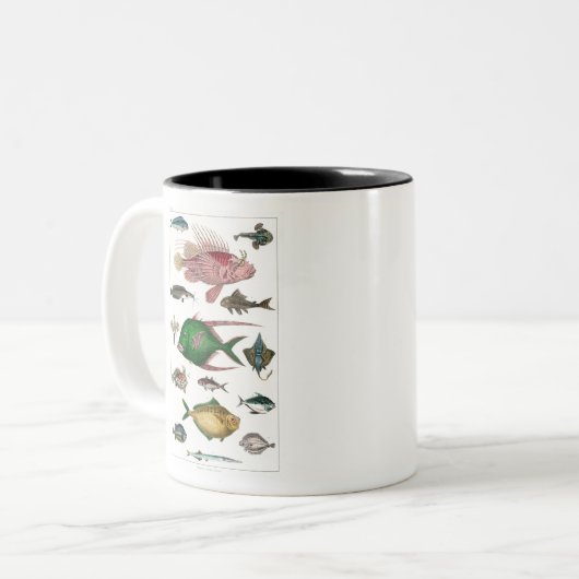 vis, oceaan, schattig, zee, water, dieren, visseri tweekleurige koffiemok (Voorkant links)