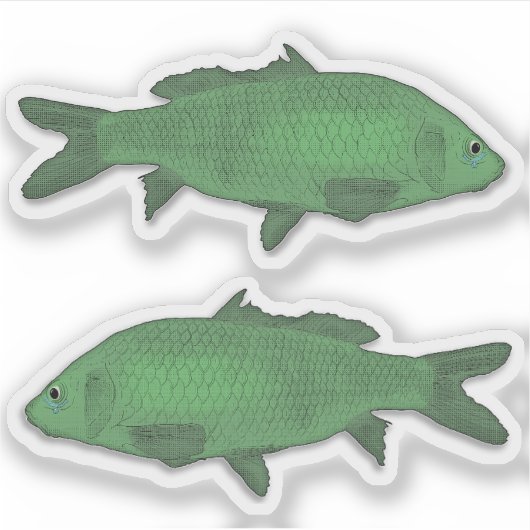 Vis of Vis Sticker Set - Groen (Voorkant)