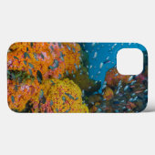 Vis onder koraalrif Case-Mate iPhone case (Achterkant (horizontaal))