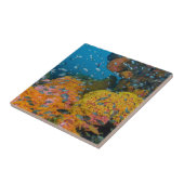 Vis onder koraalrif tegeltje (Zijkant)