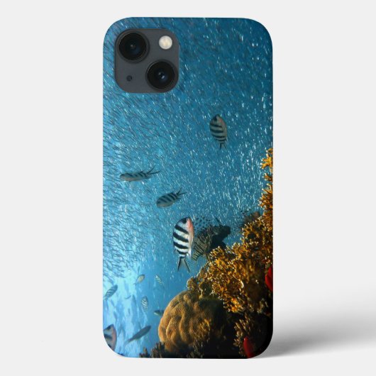 Vis, onderwater, koralen Case-Mate iPhone case (Achterkant)