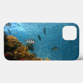 Vis, onderwater, koralen Case-Mate iPhone case (Achterkant (horizontaal))
