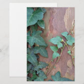 vis op boom briefpapier (Voorkant / Achterkant)