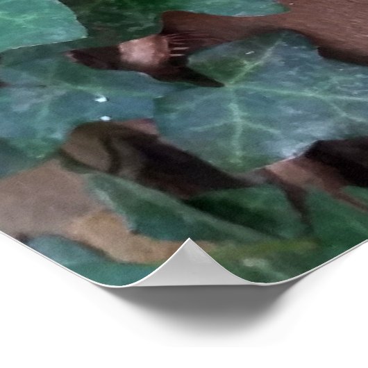 vis op boom poster (Hoek)