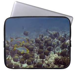 Vis op koraalrif in de oceanische achtergrond, kle laptop sleeve