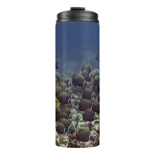 Vis op koraalrif in de oceanische achtergrond, kle thermosbeker (Voorkant)
