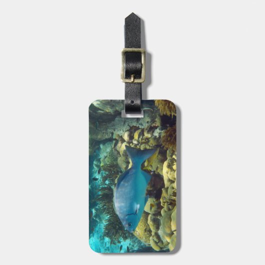 Vis op maat bagagelabel (Voorkant verticaal)