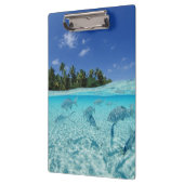 Vis op Zee Klembord (Links)