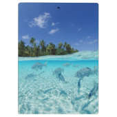 Vis op Zee Klembord (Achterkant)