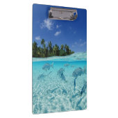 Vis op Zee Klembord (Rechts)