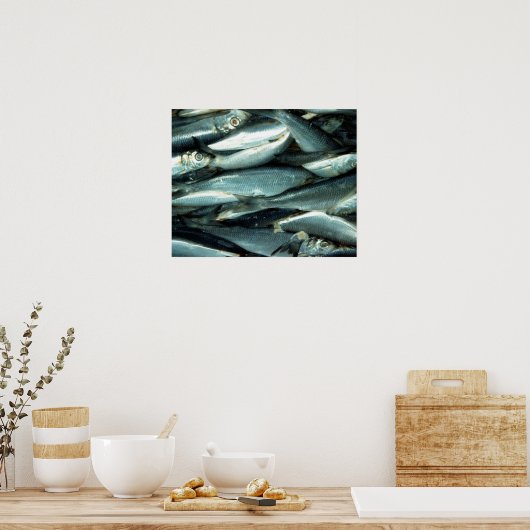 vis poster (Keuken)