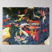 vis poster (Voorkant)