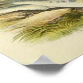 vis print 001 | Shads (Hoek)