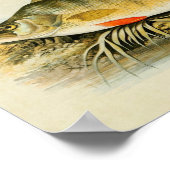  vis Print 013 | Perch (Hoek)