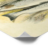 vis Print 033 | Sewen (Hoek)