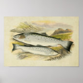 vis Print 033 | Sewen (Voorkant)