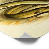  vis Print 035 | Sharp & Broad Nosed Eels (Hoek)