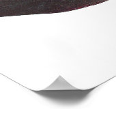 Vis - Qld. Lungfish - Neoceratodus forsteri Poster (Hoek)